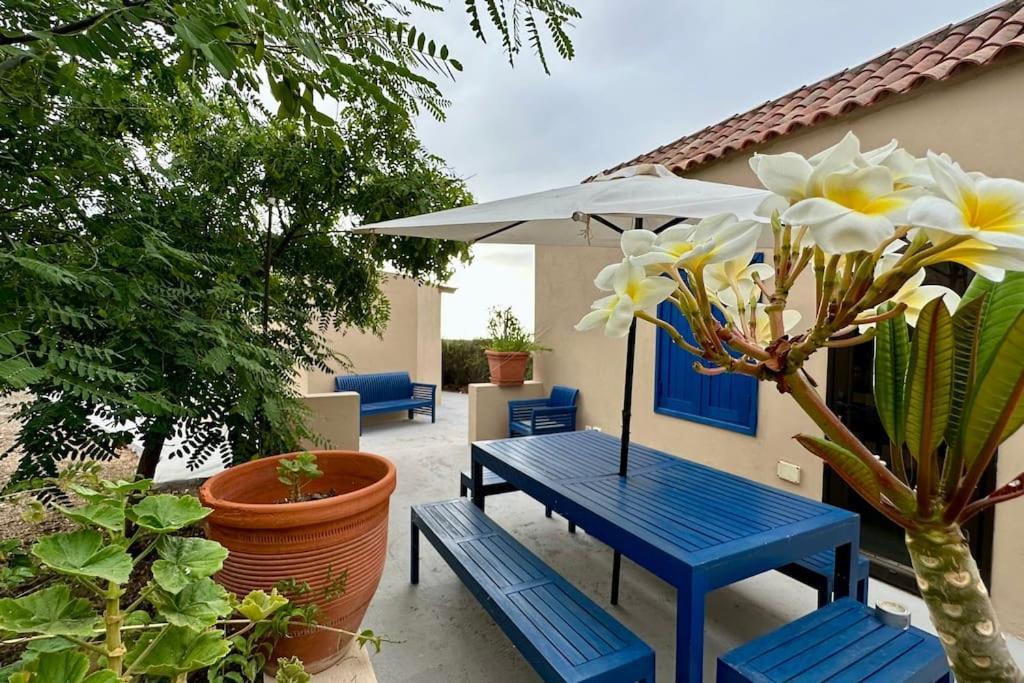 Peaceful Oasis With Magical Sea Views And A Pool Βίλα Σάντα Κρουζ Τενερίφης Εξωτερικό φωτογραφία
