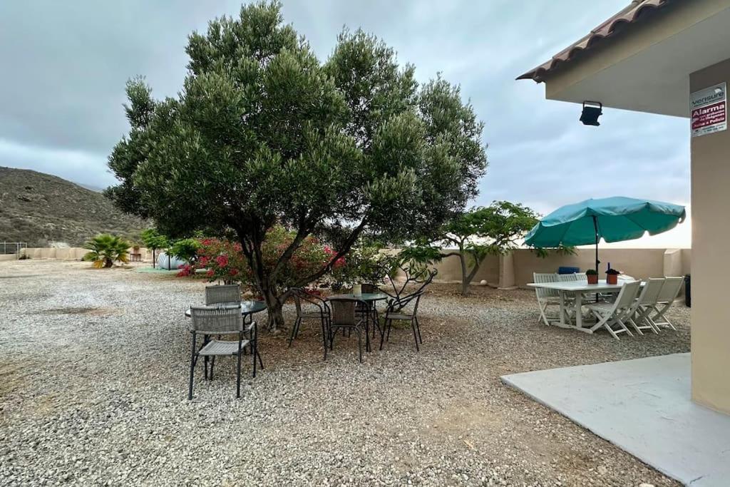 Peaceful Oasis With Magical Sea Views And A Pool Βίλα Σάντα Κρουζ Τενερίφης Εξωτερικό φωτογραφία
