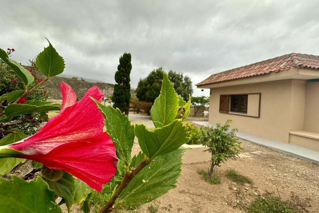 Peaceful Oasis With Magical Sea Views And A Pool Βίλα Σάντα Κρουζ Τενερίφης Εξωτερικό φωτογραφία