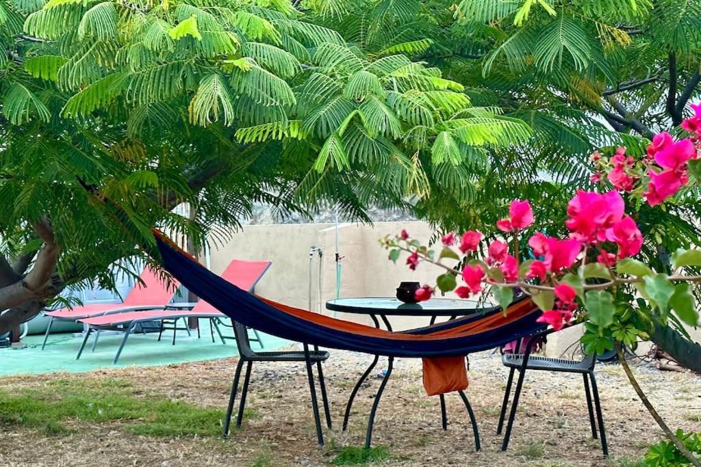 Peaceful Oasis With Magical Sea Views And A Pool Βίλα Σάντα Κρουζ Τενερίφης Εξωτερικό φωτογραφία